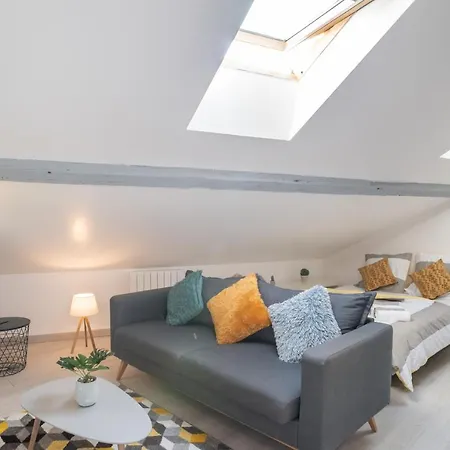 Le Cocon Vermeil - Hypercentre Apartment Nancy