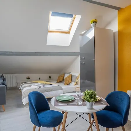Le Cocon Vermeil - Hypercentre Apartment *