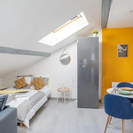 Le Cocon Vermeil - Hypercentre
