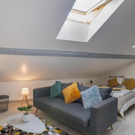 Le Cocon Vermeil - Hypercentre Apartment Nancy